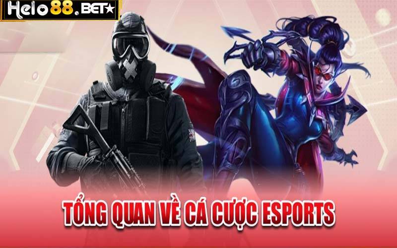 Hướng Dẫn Cá Cược Esports Trực Tuyến Tại Nhà Cái Hello88