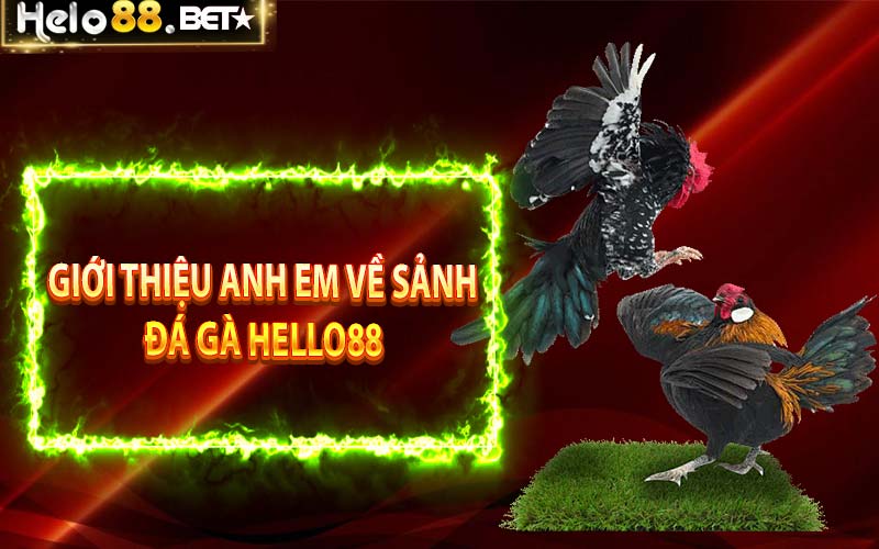 Giới thiệu anh em về sảnh đá gà Hello88